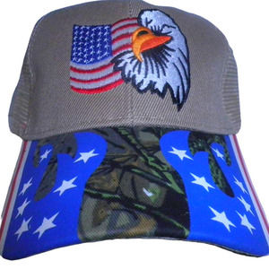 Flag / Eagle Hat, Mesh Back, Embroidery Front, Printed Bill, Snapback, Beige